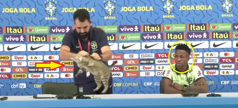 قطة تقتحم المؤتمر الصحفي لـ فينيسيوس في كأس العالم  